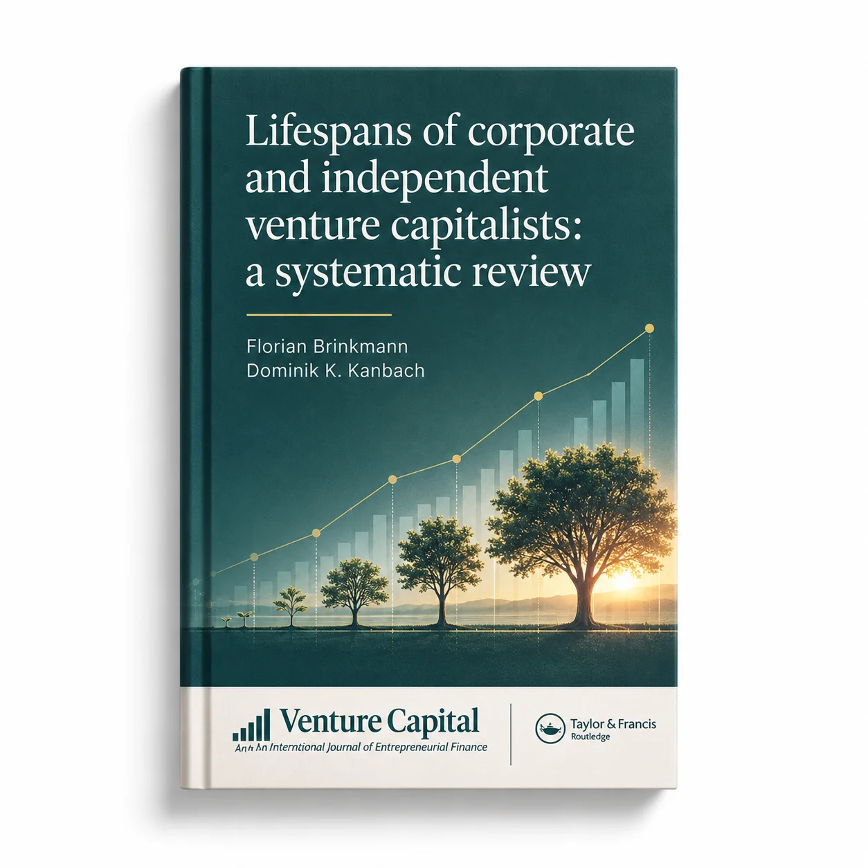 Lifespans of corporate and independent venture capitalists: a systematic review, investment firm website screenshot